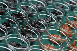 MEHRWEG-Glas statt EINWEG-Plastik! © A14 / Ursula Gungl MEHRWEG-Glas statt EINWEG-Plastik! © A14 / Ursula Gungl